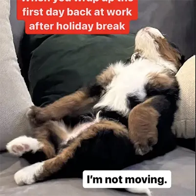 When you wrap up the first day back at work after holiday break